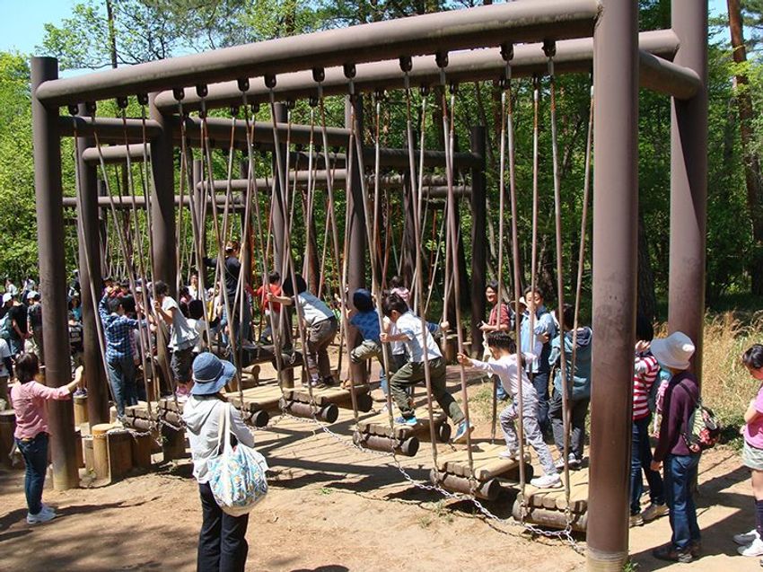 巨大公園にある日本一大きなトランポリンで雲に乗った気分になる！ - 6枚目の画像
