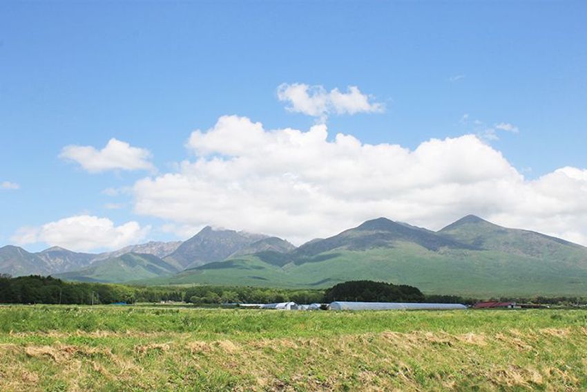 東京―長野で二拠点生活する元広告マンが手に入れた「理想の働き方」 - 6枚目の画像