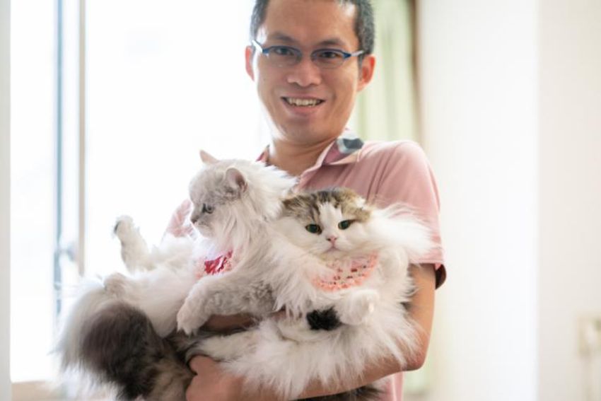 スタイを着こなすシャレネコ・フレンとミルフィ - 10枚目の画像