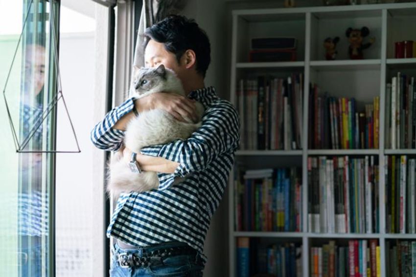 オッサンだってネコが好き！オーシャンズ「ネコ・オブ・ザ・イヤー」中間発表② - 5枚目の画像