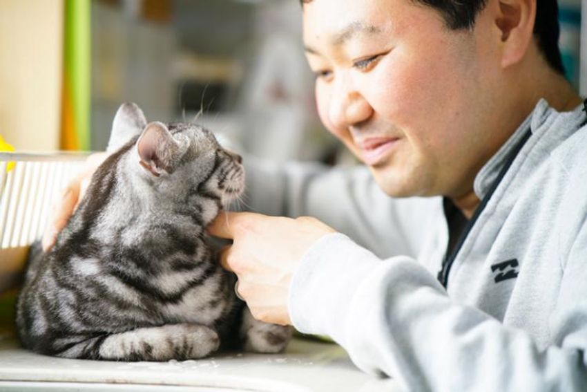 オッサンだってネコが好き！オーシャンズ「ネコ・オブ・ザ・イヤー」中間発表② - 3枚目の画像