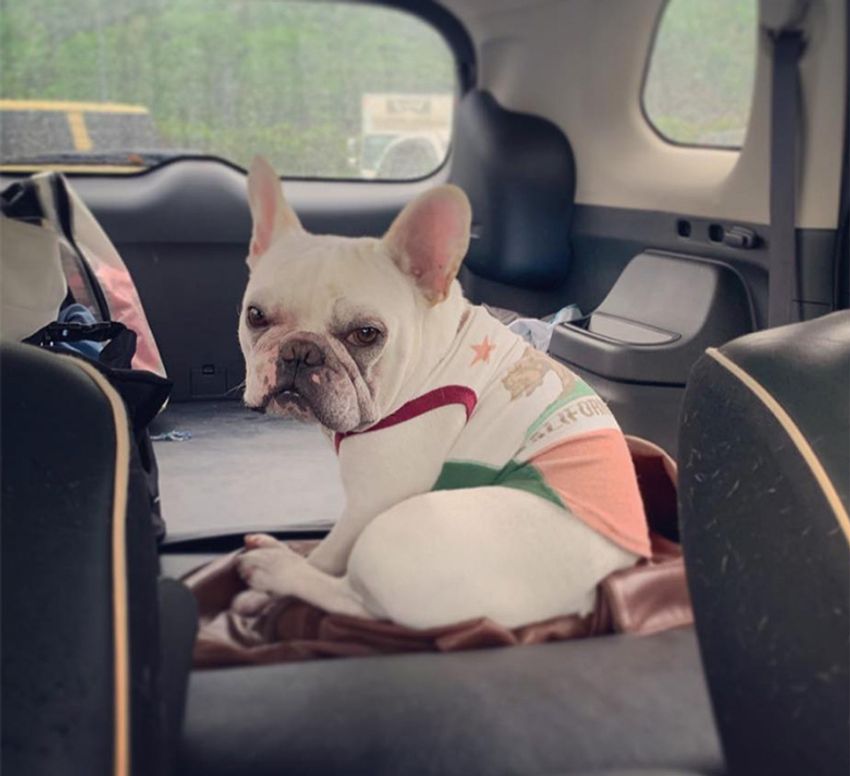 「革靴ではなくサンダルです」365日、思いのまま乗れる三菱・アウトランダーPHEV - 5枚目の画像