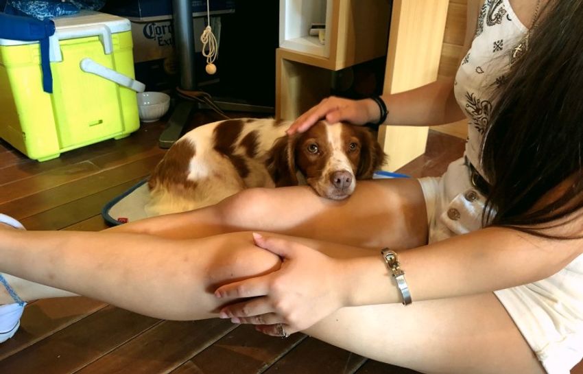 葉山の夏季限定カフェで、留学を控えた看板娘の前途を祈念した - 16枚目の画像