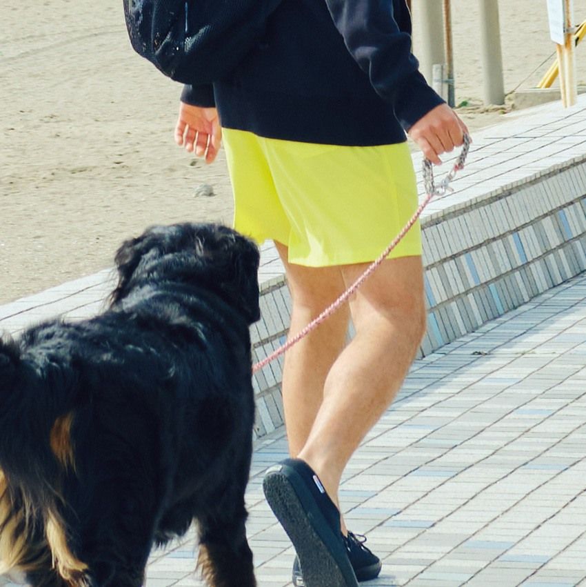 今年のショーツスタイルは「黒×ビビッドカラー」が正解。証拠はモードの最先端にあった - 4枚目の画像