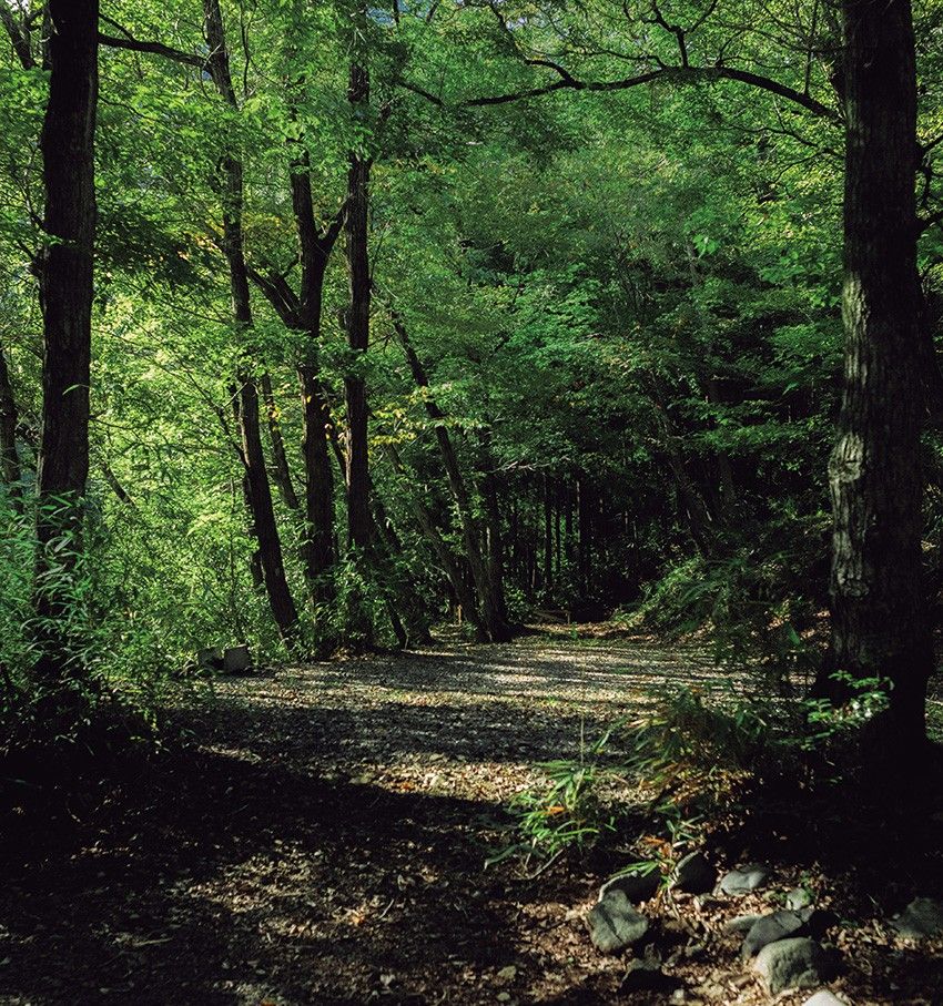 極上の朝が待つ2つの最新キャンプ場。求めるのは雲海か、都心からのアクセスか、どっち？ - 2枚目の画像
