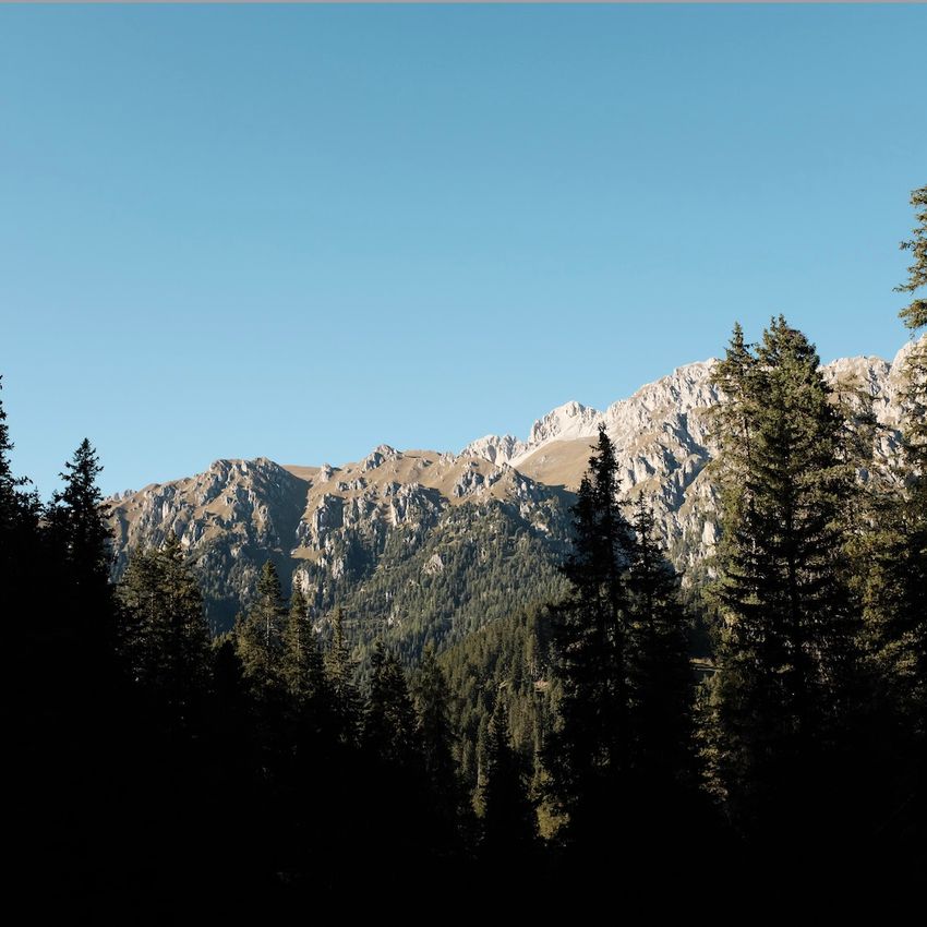 【プレゼント】ビルケンシュトックの最新作は、定番がベースの最強スペックです！ - 2枚目の画像