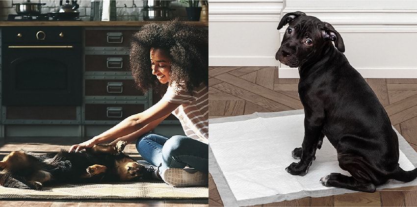 1日9.2円でゴミ箱から漂う生ゴミ臭と決別。−11度の“冷凍”ゴミ箱の正体 - 13枚目の画像