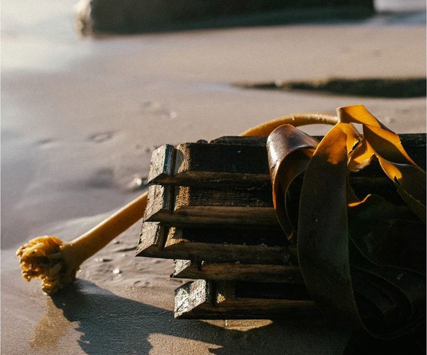 海が育んだウイスキー「タリスカー44年」の深すぎる味わい。洋上で飲めたら贅沢 - 11枚目の画像