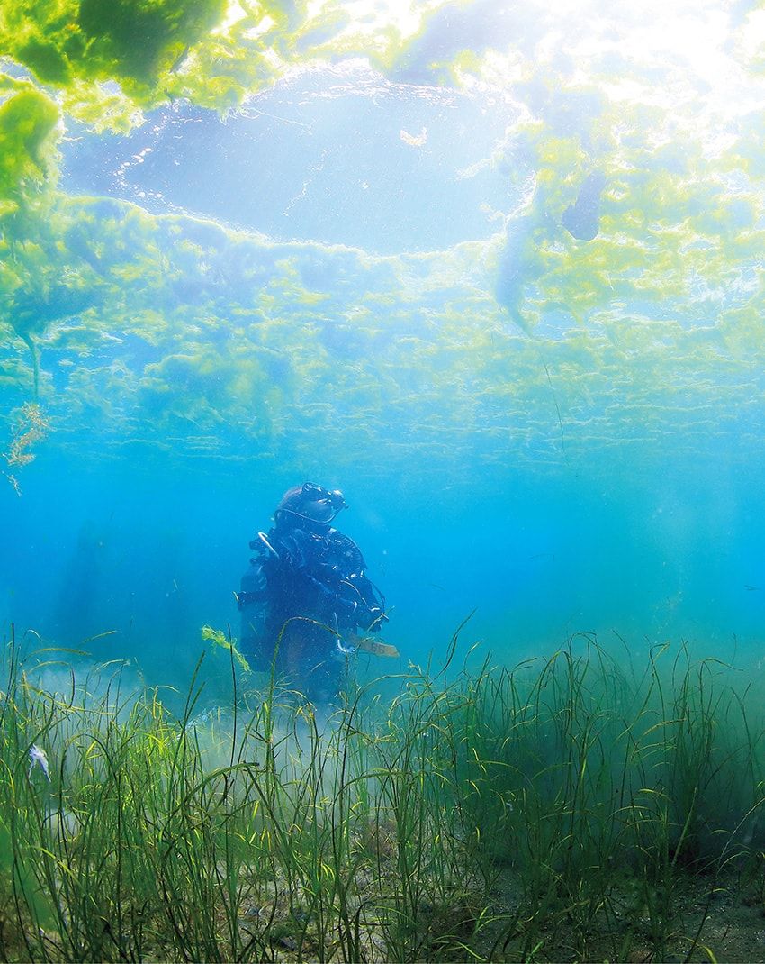 女優・木村文乃が語るダイビングの魅力「海に潜ると、“素の私”になれる」 - 2枚目の画像