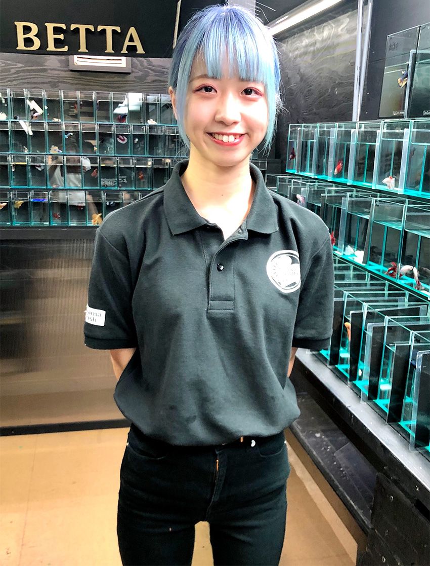 ショーベタ専門店「よこはま金魚」で働く看板娘は、魚への愛が満ち満ちていた - 4枚目の画像