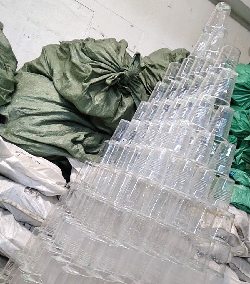 ショーベタ専門店「よこはま金魚」で働く看板娘は、魚への愛が満ち満ちていた - 11枚目の画像