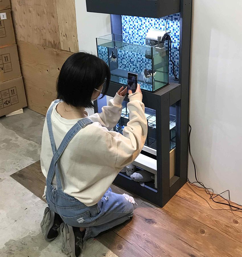 ショーベタ専門店「よこはま金魚」で働く看板娘は、魚への愛が満ち満ちていた - 14枚目の画像