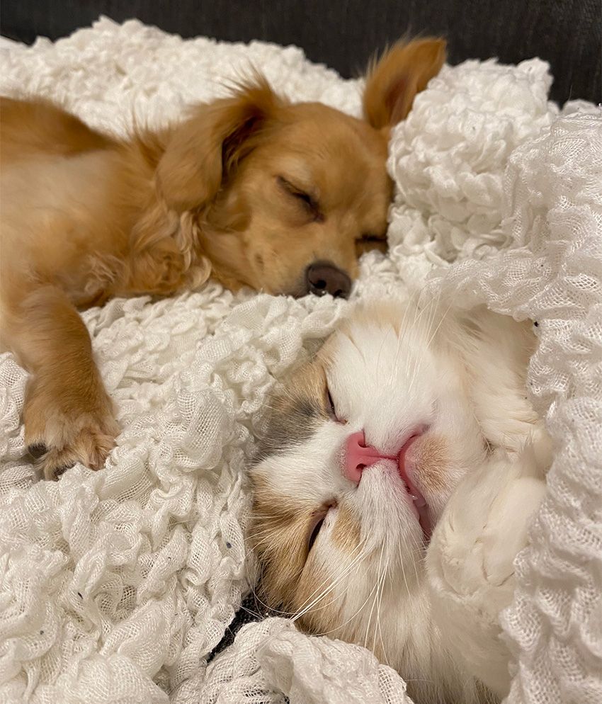 男性にスキンケアを勧める看板娘が、オーシャンズでもお馴染みのスプレーをプッシュしていた - 18枚目の画像