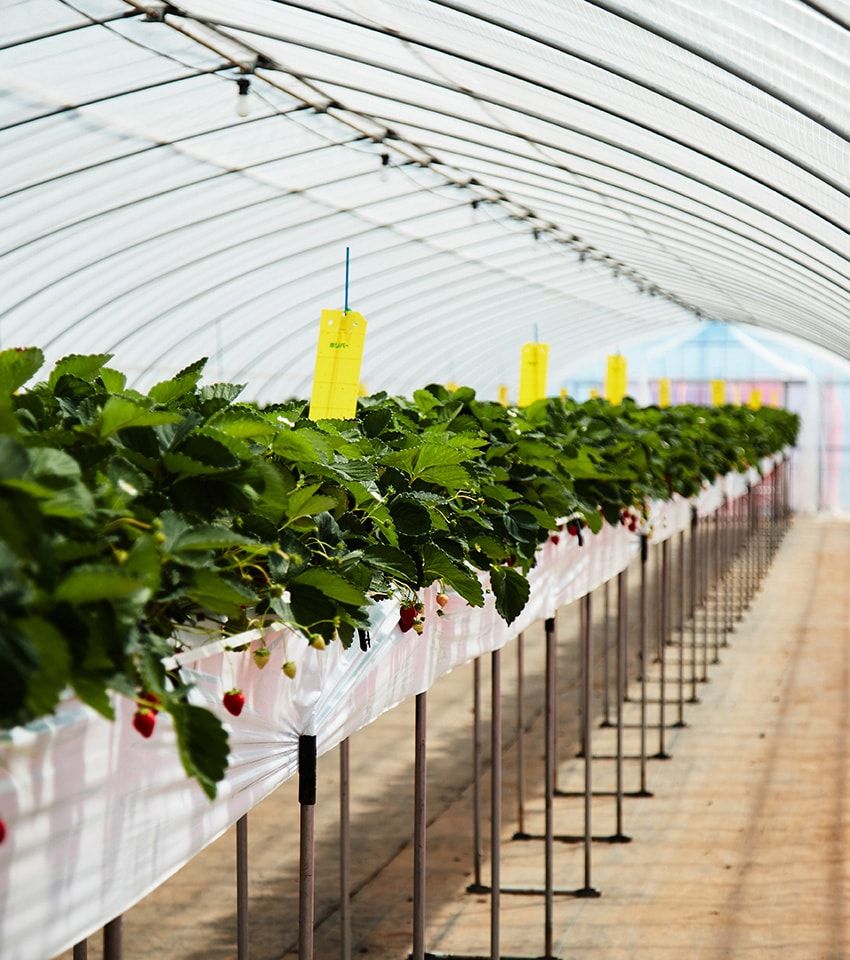 アクティブ派が求める“最幸”の旅を叶えるカード。唯一無二の体験で価値観の転換を - 16枚目の画像