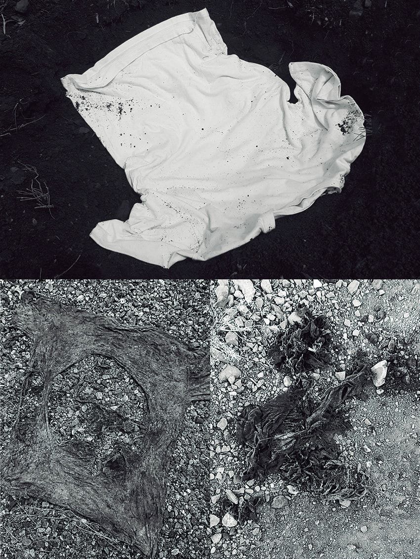 ウェルネスでサステナなブランド「テイクス」が“竹”という天然素材を選んだワケ - 9枚目の画像