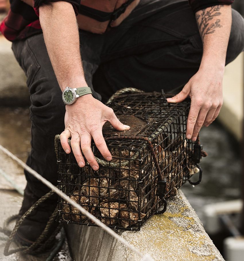 10億個の牡蠣をニューヨーク湾に取り戻す！「オリス」が限定モデルをリリースした理由 - 1枚目の画像