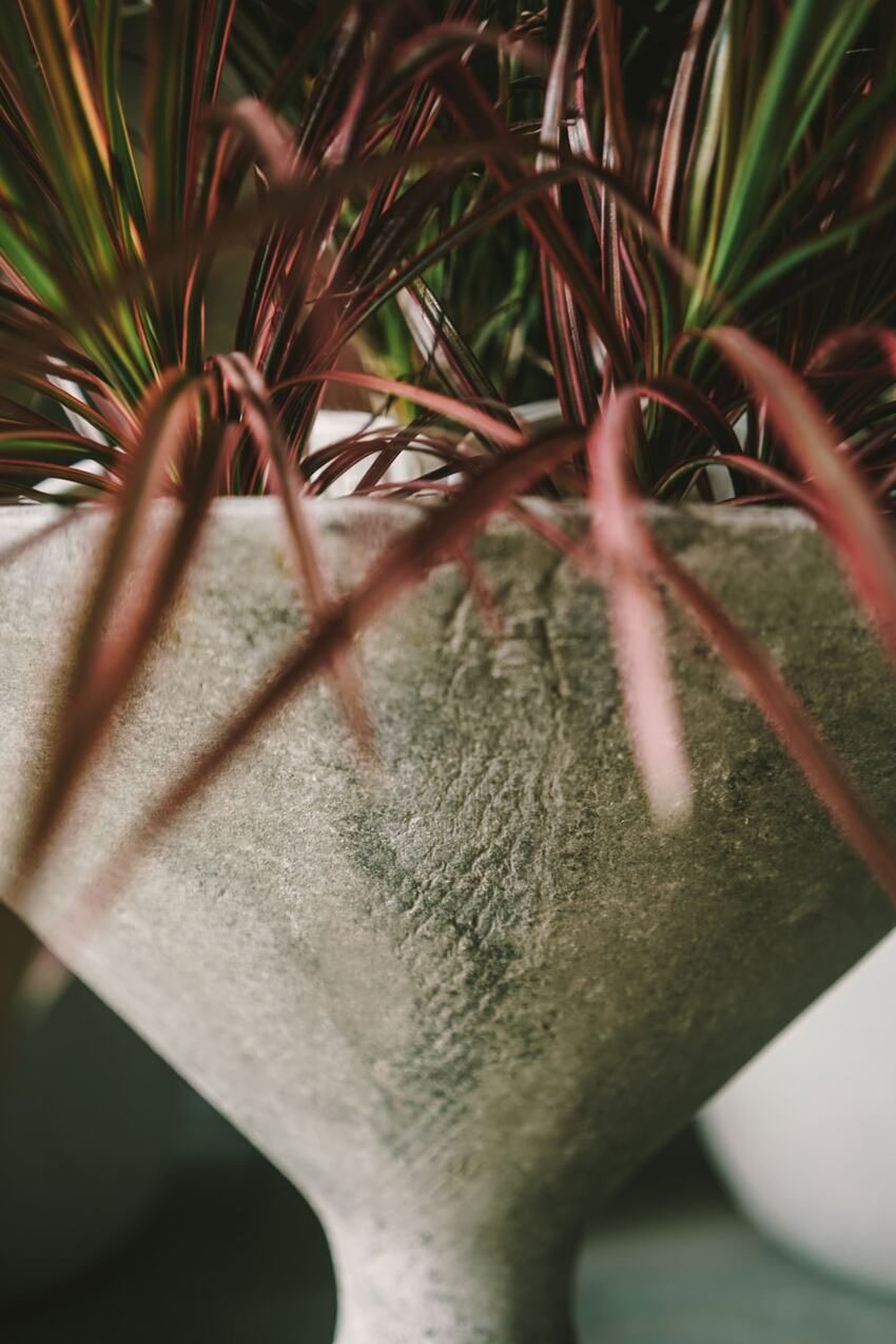 コルビュジエ、アアルトが愛用した資材の魅力。観葉植物や家庭菜園が楽しくなる「スイスパール」社のプランター - 20枚目の画像