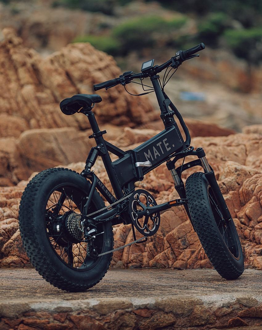 【プレゼント】遊べる電動自転車の筆頭「メイトエックス」でアクティブライフを活性化！ - 2枚目の画像