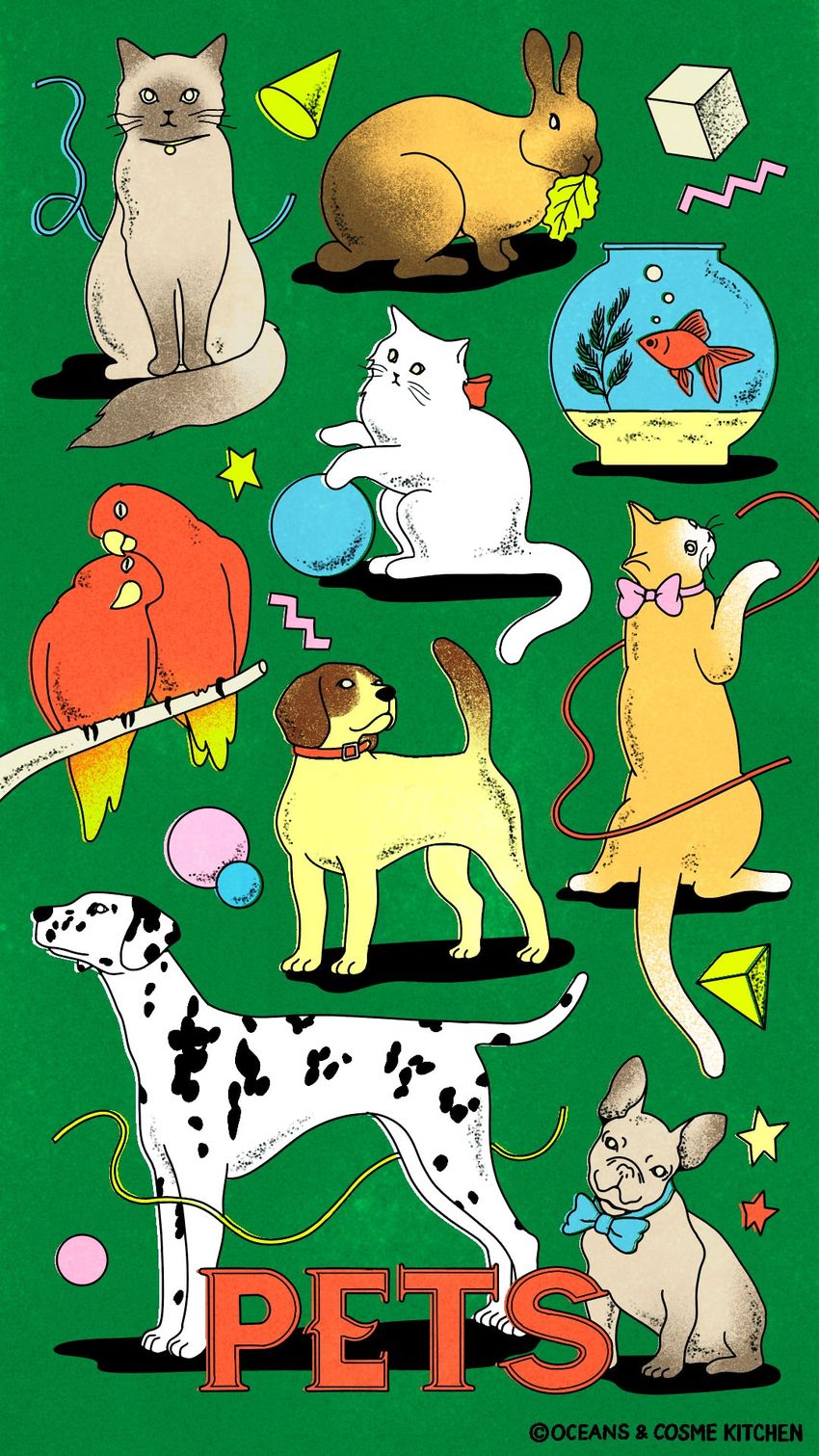 笑顔を心がけて2023年の運も呼び寄せよう！ 【11月21日～12月4日の運勢】 - 1枚目の画像