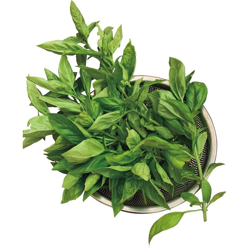 スタイリスト二村 毅さんの“持続可能”なウェルネスライフは「とことん、妥協なく」 - 4枚目の画像