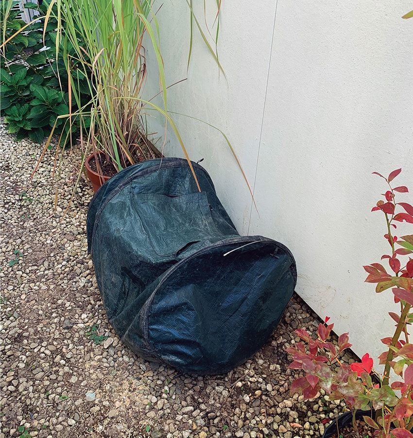 スタイリスト二村 毅さんの“持続可能”なウェルネスライフは「とことん、妥協なく」 - 6枚目の画像