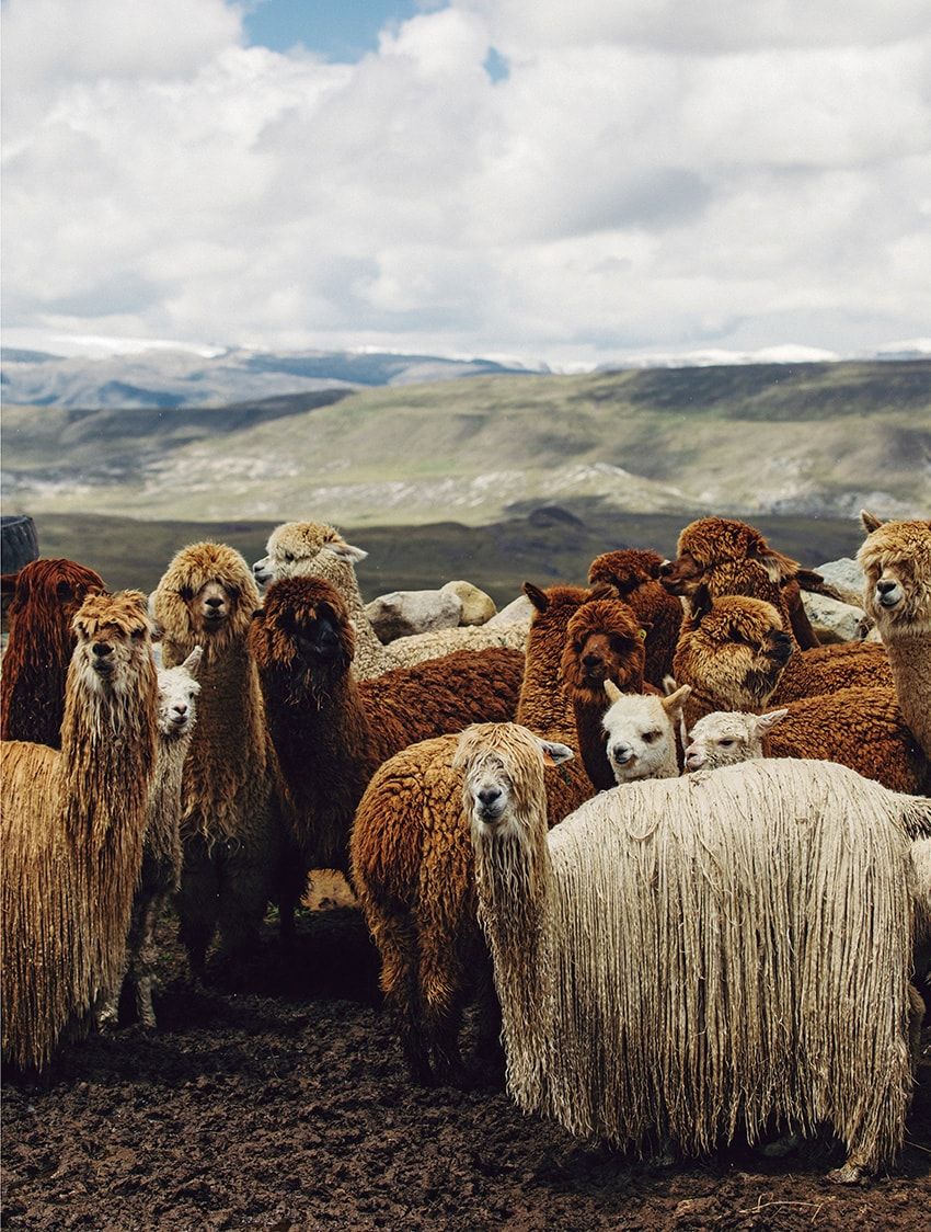 ザ イノウエブラザーズが考える未来のファッション「計算ではなく、もっとずっとヒューマンなもの」 - 5枚目の画像