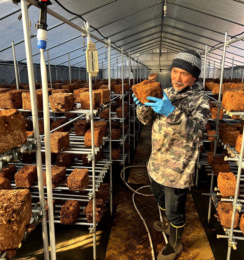 牛舎をリノベした古着屋で働く美大卒の看板娘が、サボテンに魅了されていた - 18枚目の画像