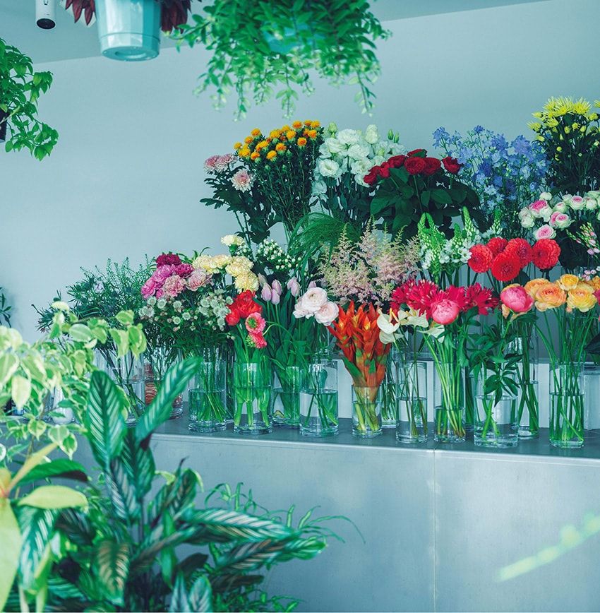 【海まで徒歩圏内】三浦マーシーの地元・湘南エリアの安らぎスポット5選 - 3枚目の画像