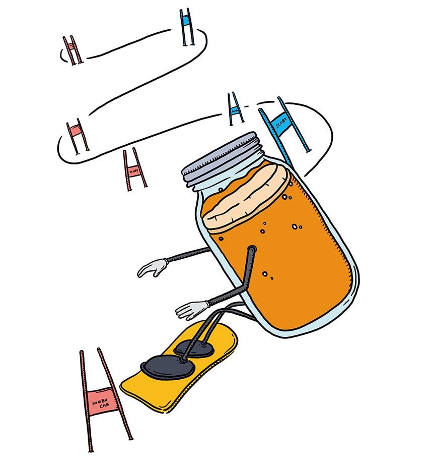 “コンブチャ”は昆布じゃない。腸活への効能など、流行中の発酵飲料に期待できること - 6枚目の画像