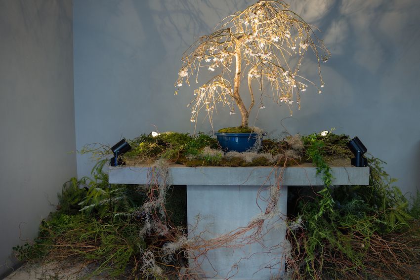 花の志村大介×盆栽の小島鉄平。「サンゾウ トーキョー」で異色のエキシビション開催！ - 7枚目の画像