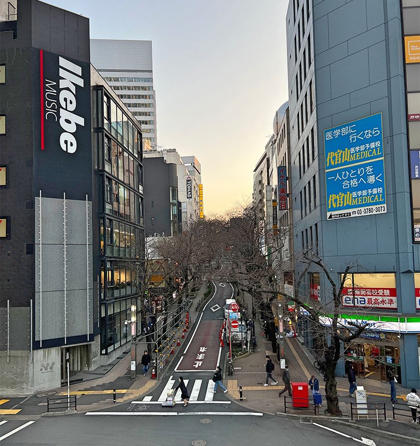 目覚めのキスやツルスベ足を応援する看板娘が、犬とSUPを楽しんでいた - 2枚目の画像