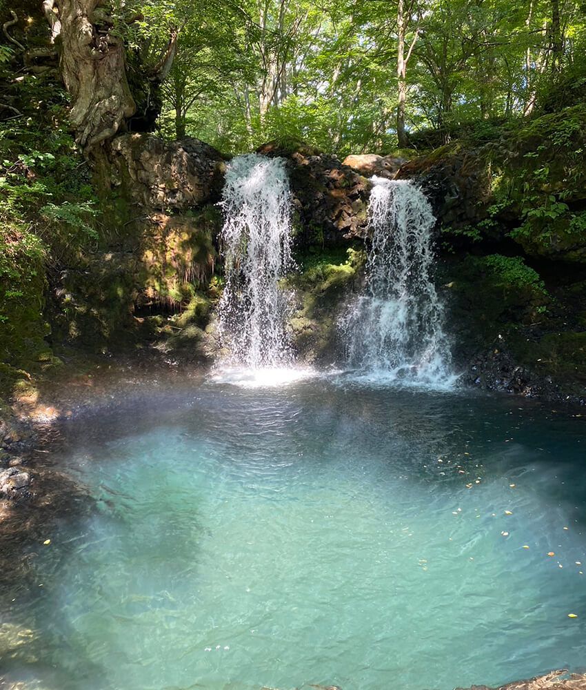 コマネチに感動した「プロント」の看板娘が、キッサカバと寺社仏閣の魅力を教えてくれた - 17枚目の画像