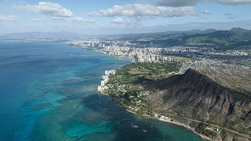 ワイキキロゴの「ロンハーマン」限定プロダクトは、ジップエアとのカーボンニュートラル便で！ - 12枚目の画像