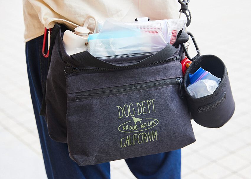 元キマグレン・クレイ勇輝が主催！ 犬との共存がテーマのファッション音楽フェスの全容 - 24枚目の画像