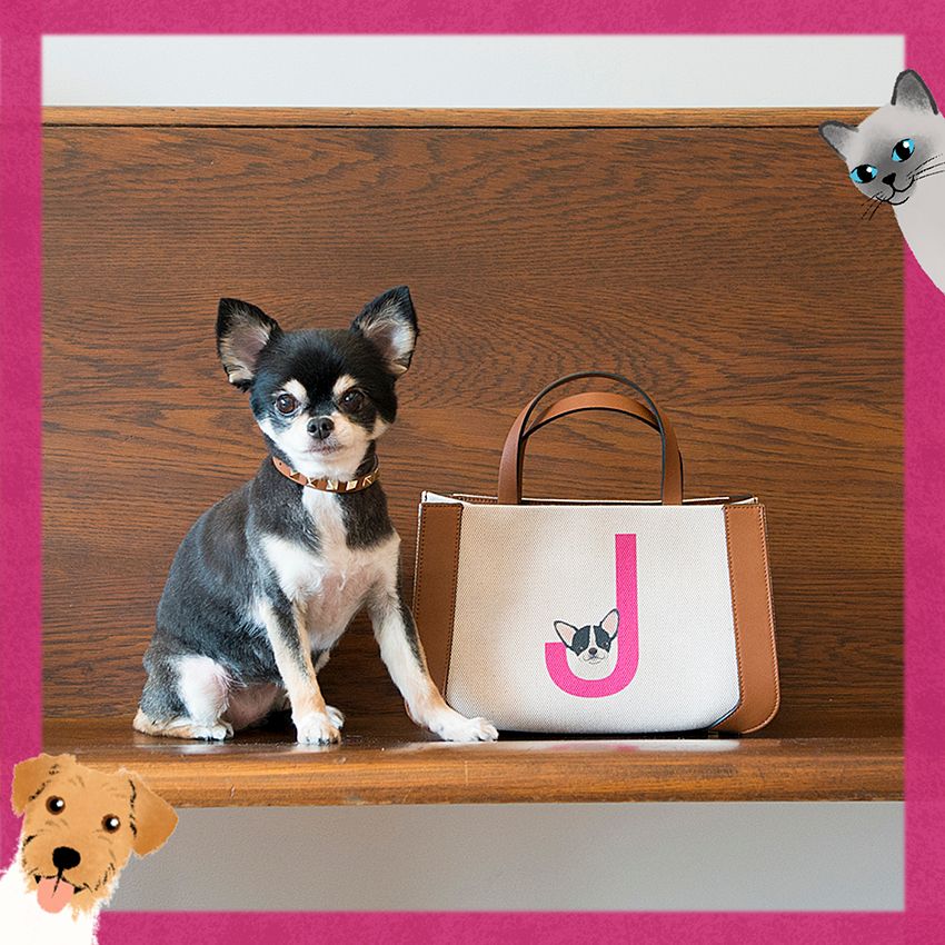 「ヴァレンティノ」がペットのイラストで人気アイテムをパーソナライズ。スナップ撮影会も実施 - 2枚目の画像