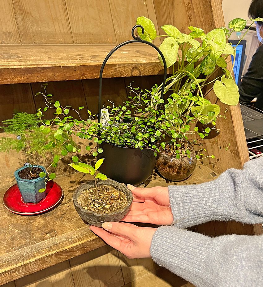 商店街に賑わいを取り戻す看板娘が、価値ある中古住宅を探す人の悩みを解決していた - 18枚目の画像