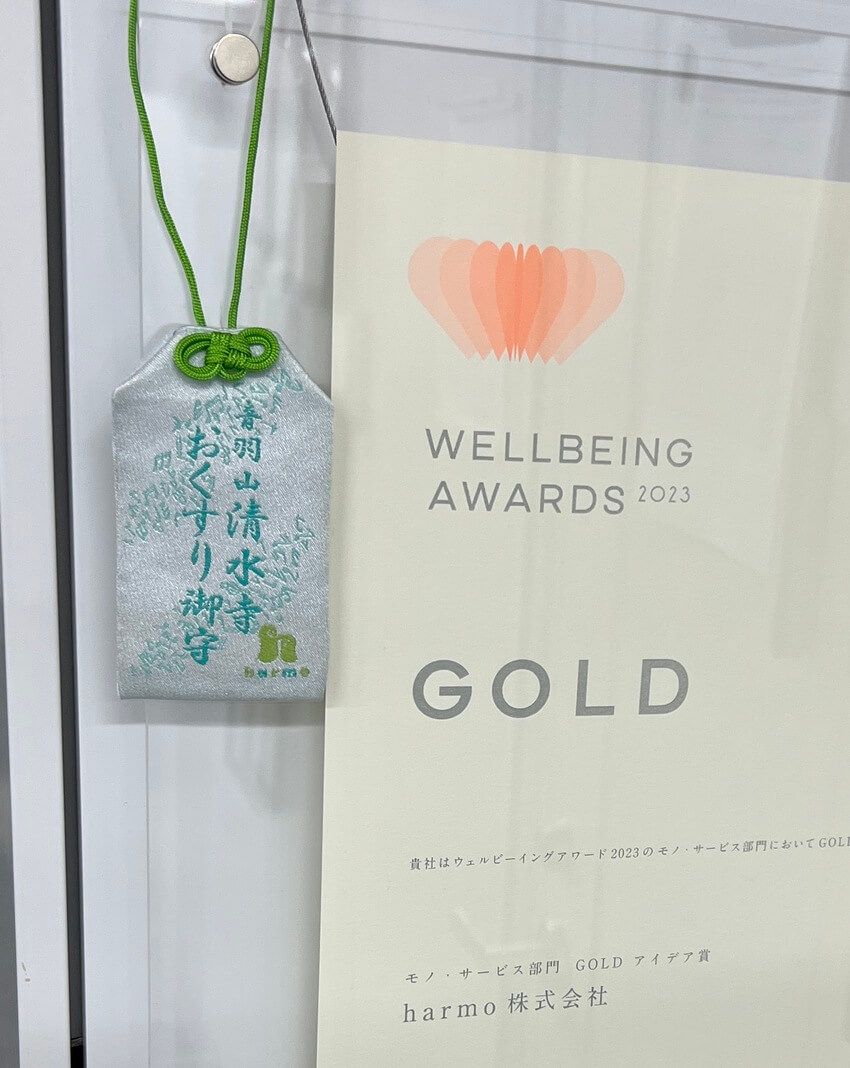 TikTokで10万フォロワー超えの看板娘が「おくすり手帳」の電子化に奮闘していた - 12枚目の画像