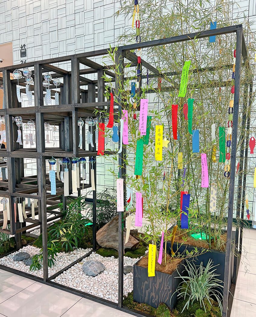 七夕で願いを込めていた看板娘は、ITエンジニアをサポートしていた - 11枚目の画像