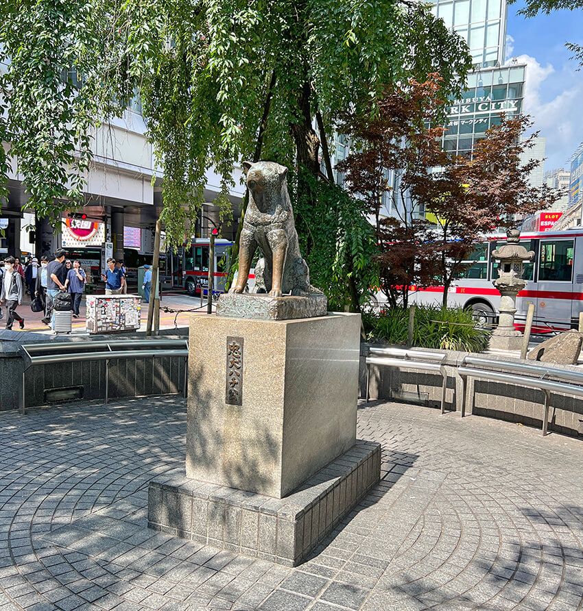 七夕で願いを込めていた看板娘は、ITエンジニアをサポートしていた - 4枚目の画像