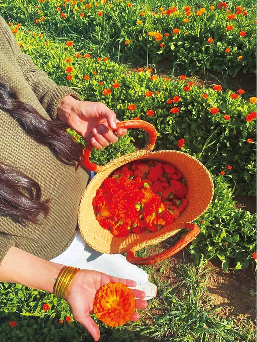 カリフォルニアのサーファー愛用「オールグッド」の日焼け止めがサンゴ礁を救うワケ - 3枚目の画像