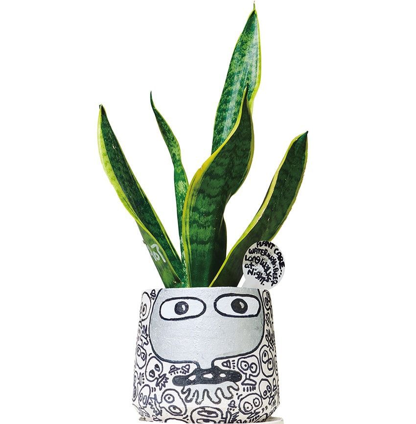 アートの教本から釣り道具まで！「ナンヅカギャラリー」オーナーの“Feel So Good”な私物 - 11枚目の画像