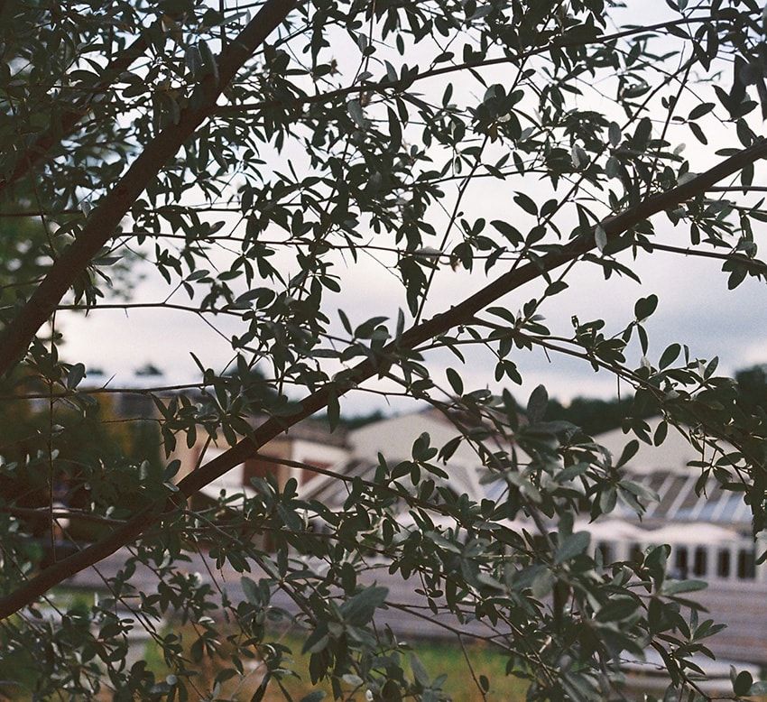 ビームス企画の音楽イベントにフリマも！ 今週末は山梨「フジ ゲートウェイ」にGO - 2枚目の画像