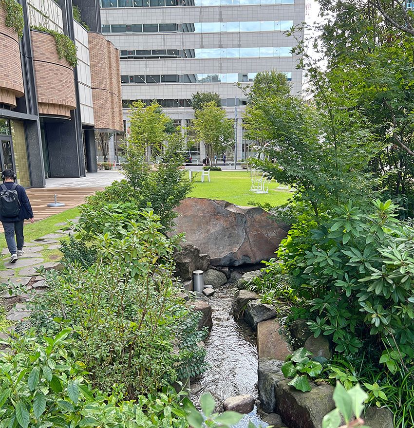 お口の健康を守る看板娘が、歯科衛生士不足や職場環境改善のために起業していた - 3枚目の画像