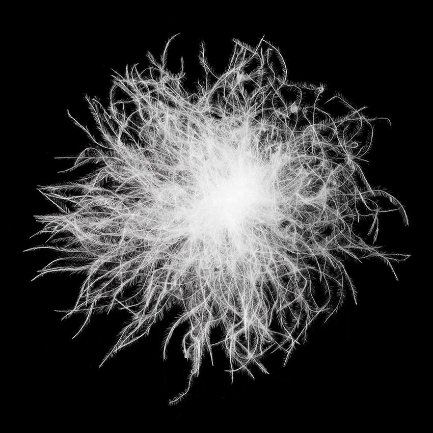 「L.L.Bean」80年代のアーカイブも復刻！ダウンの欠点を克服したダウンテックダウンの2023年モデル紹介 - 2枚目の画像