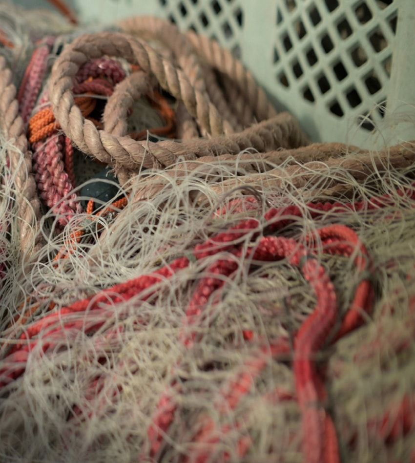 「ウィンダンシー」の“海を守る”新作アパレル。サステナ素材のMA-1など全14型が予約販売中 - 2枚目の画像