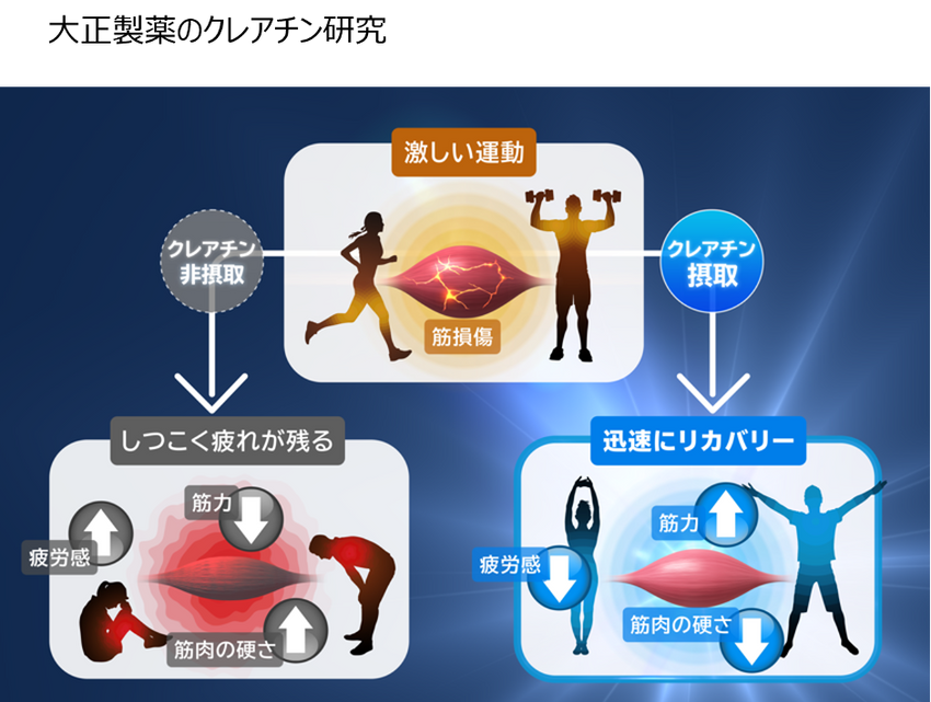 プロテインとの相乗効果も！専門家が説く「クレアチン」の効果。太らず増量したい人、必読！ - 7枚目の画像