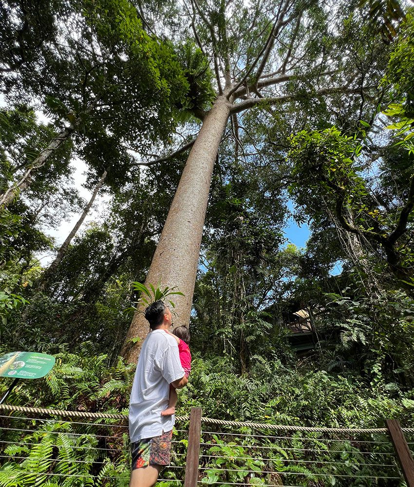 「土日でオーストラリアを37時間楽しみます！」世界を旅する会社員が語るその旅程 - 16枚目の画像