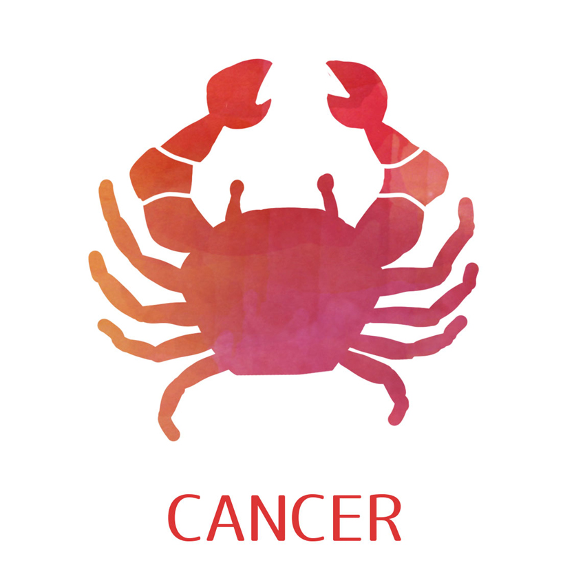 【中古】 星占い２００６かに座 ６月２２～７月２２日生まれ/宝島社/聖紫吹 Amazon.co.jp: 蟹座の本: 6月22日~7月22日生まれ (宝島社文庫