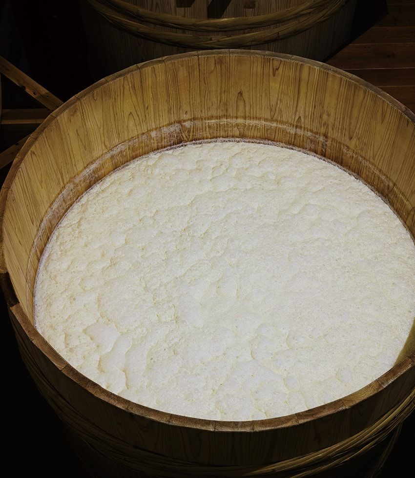 「パタゴニア プロビジョンズ」が発酵について考えるトークセッション開催！玄米味噌の限定販売も - 5枚目の画像