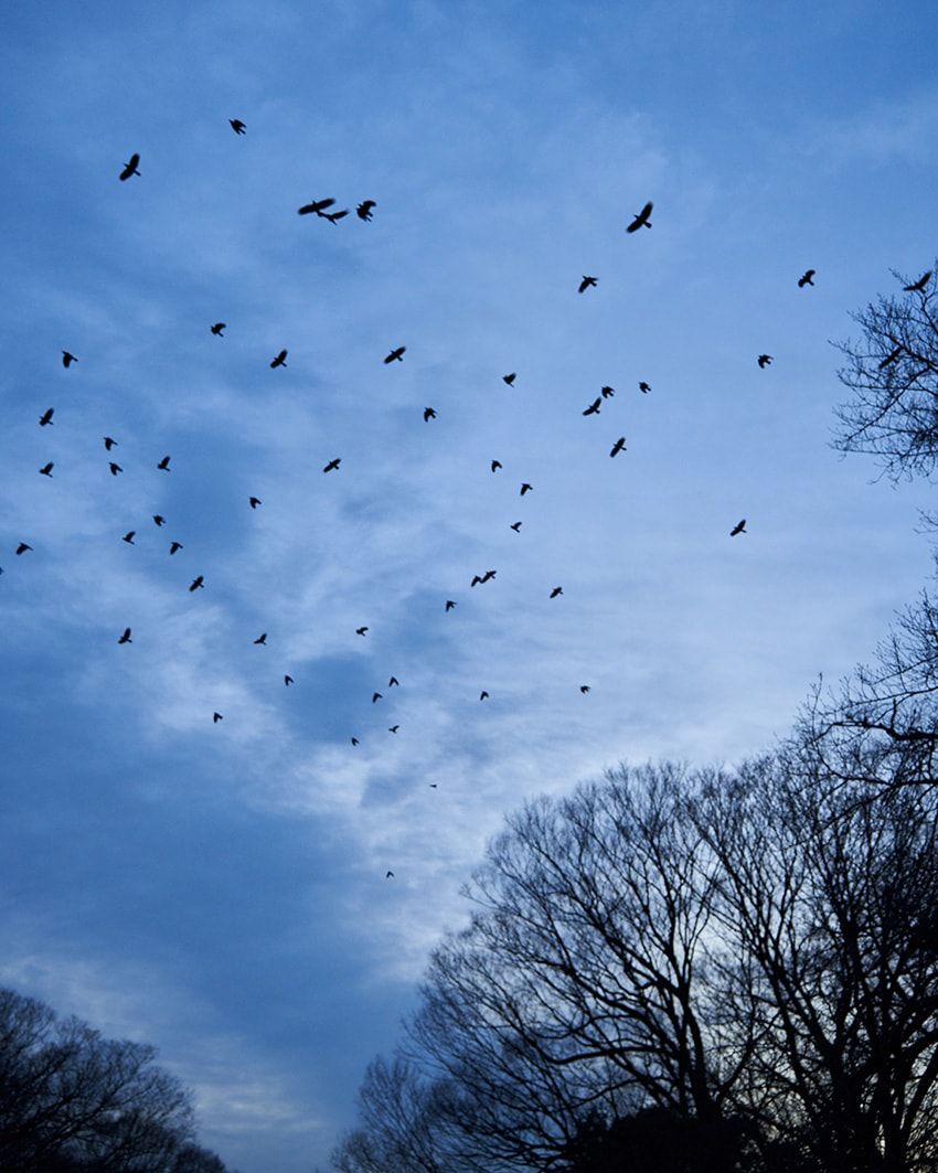 注目の“スポカジ”コラボが「ビームス T」から。UMBROのアーカイブをBoTTがサンプリング！ - 1枚目の画像